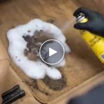 Pěnový čistič – video