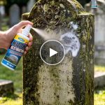 Sprej proti mechu – video