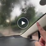 Čistič autoskel s otočnou hlavicí z mikrovlákna – video